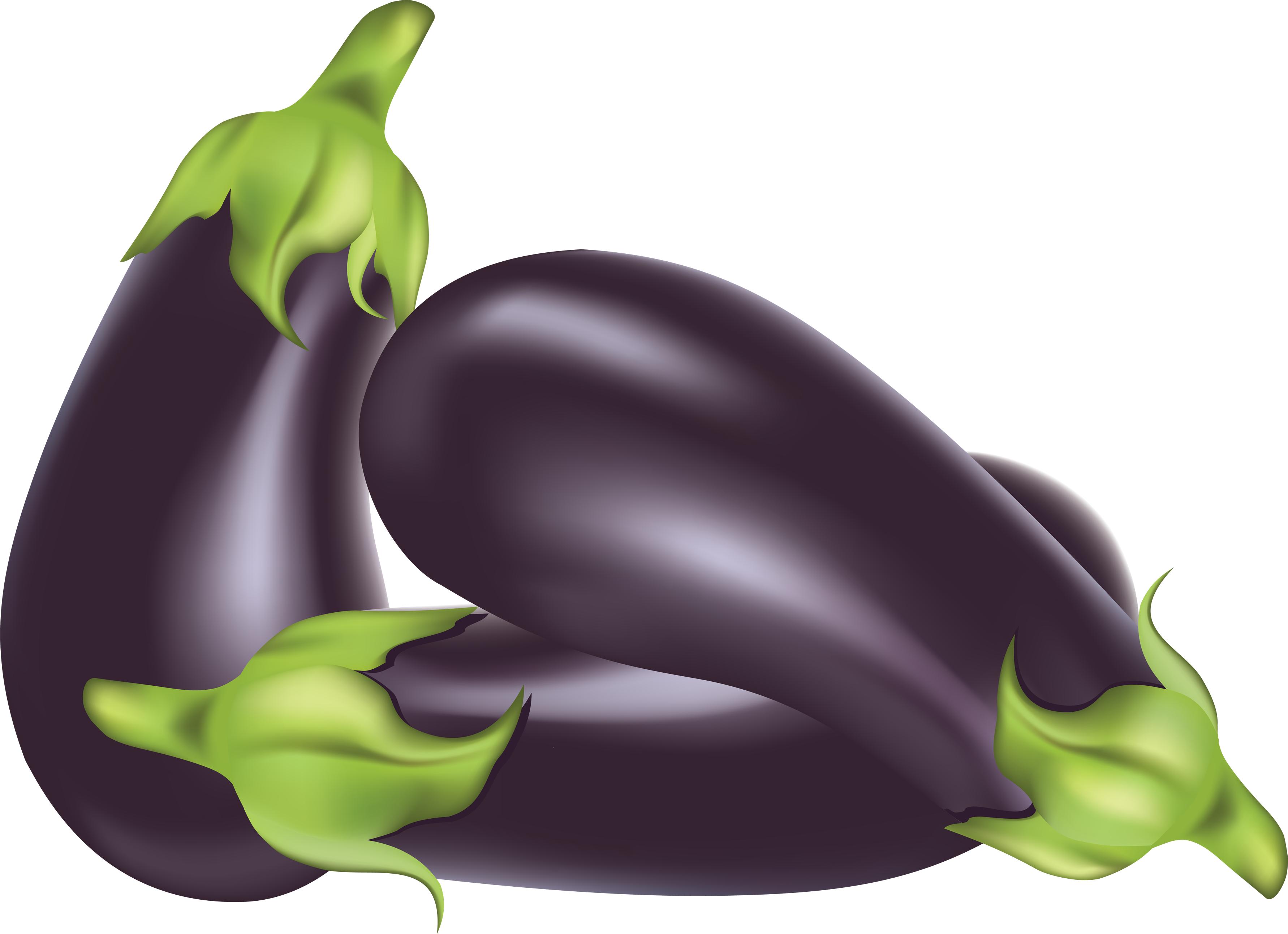 Free Eggplant Cliparts, Download Free Eggplant Cliparts png images, Free ClipArts on Clipart Library