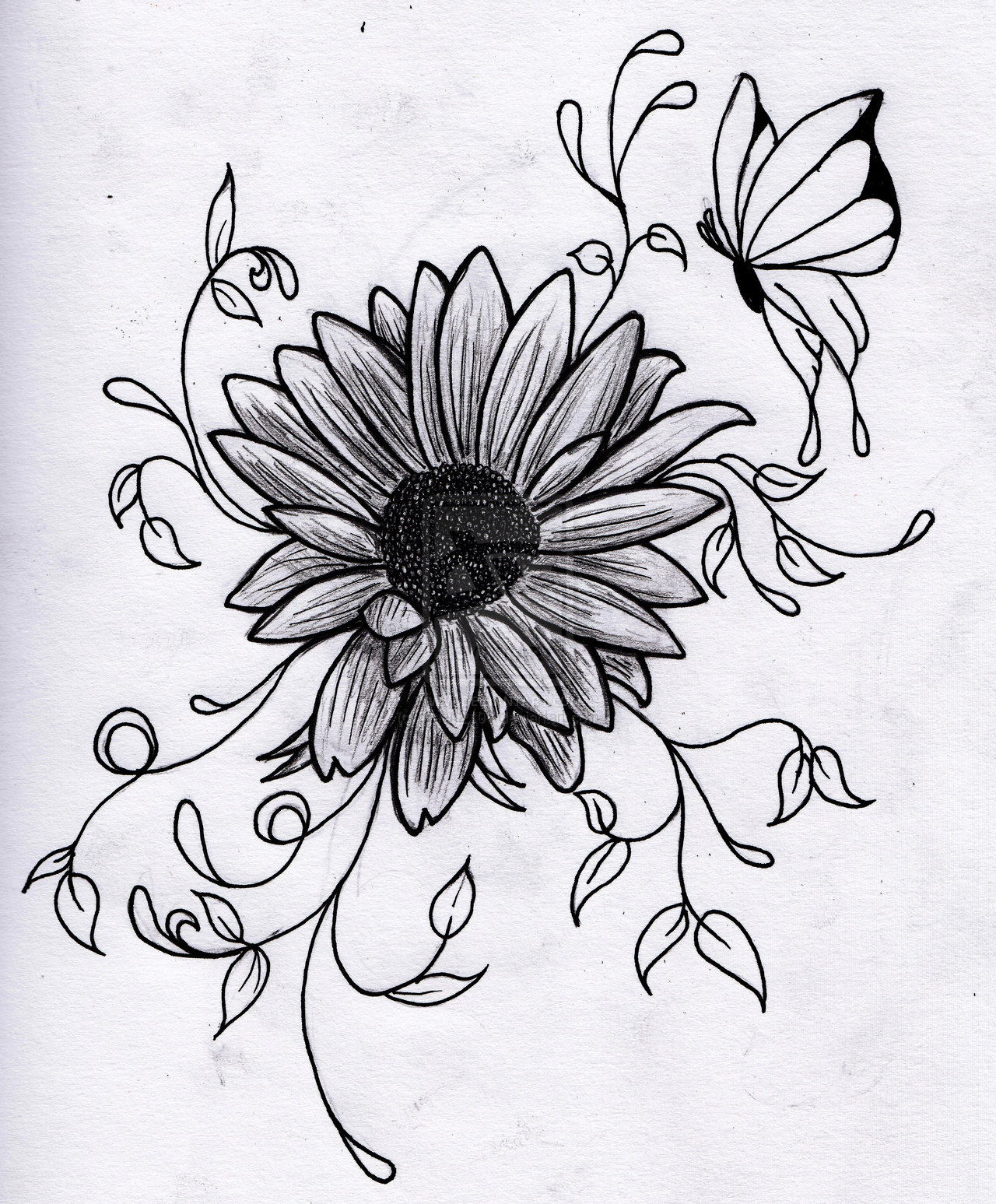 Free Drawing Of Flowers, Download Free Drawing Of Flowers png images, Free ClipArts on Clipart