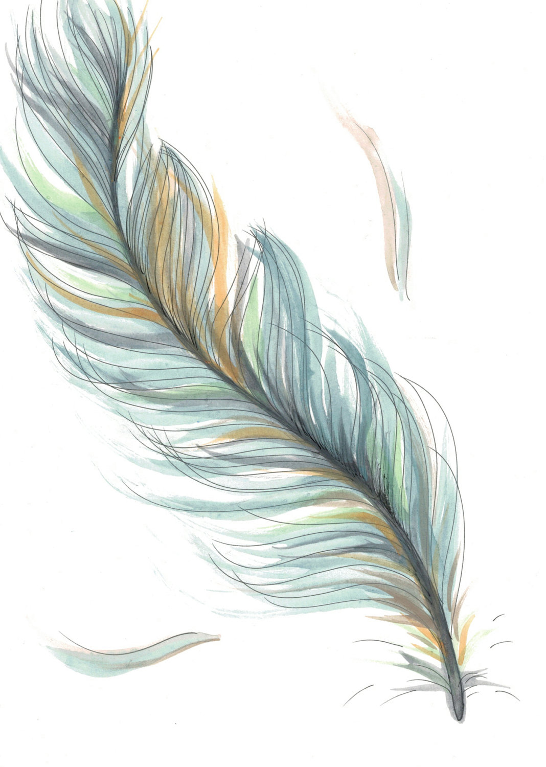 Free Feather, Download Free Clip Art, Free Clip Art on Clipart Library