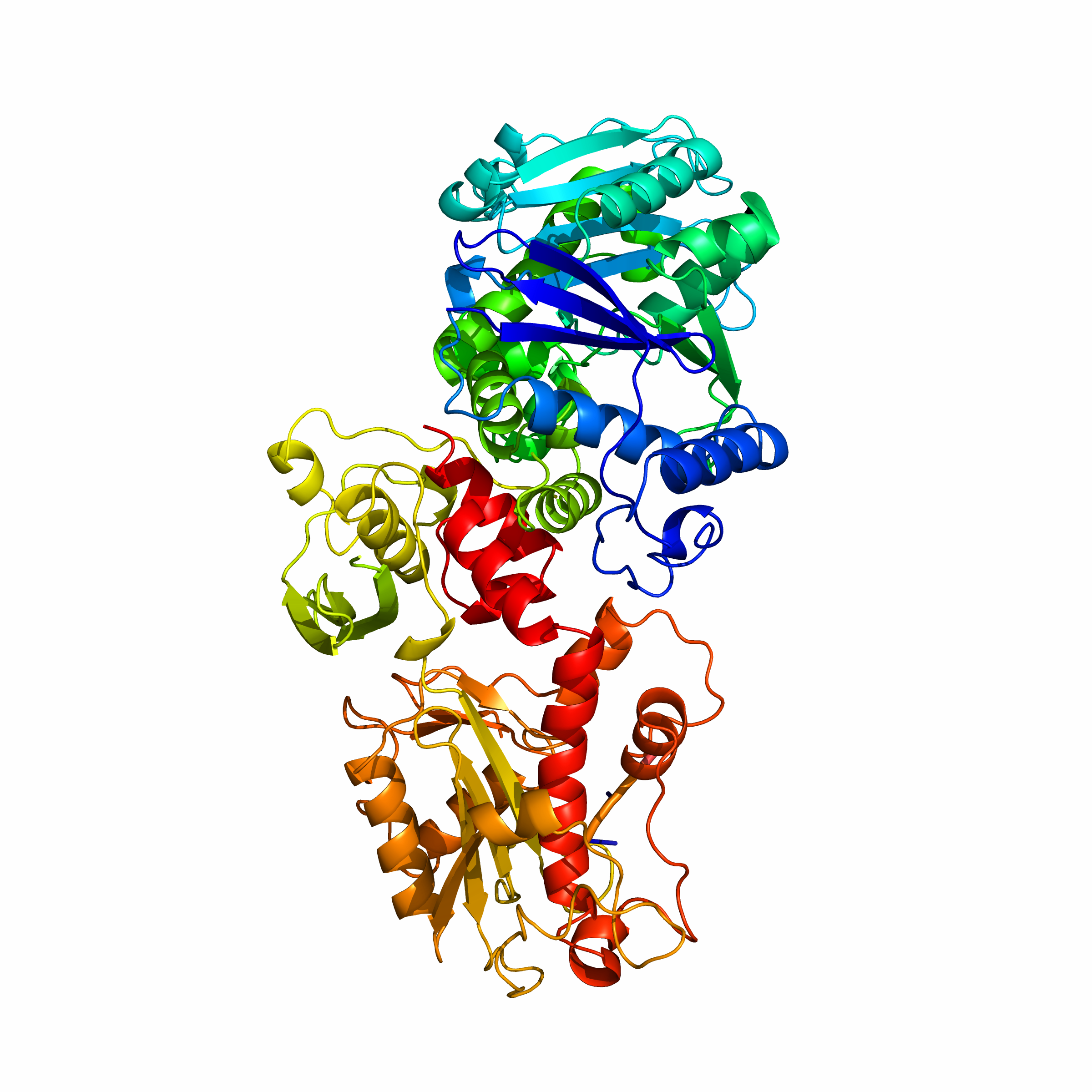 Dna Replication Drawing Free download on ClipArtMag