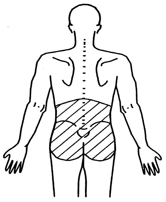 Human Back Drawing Free download on ClipArtMag