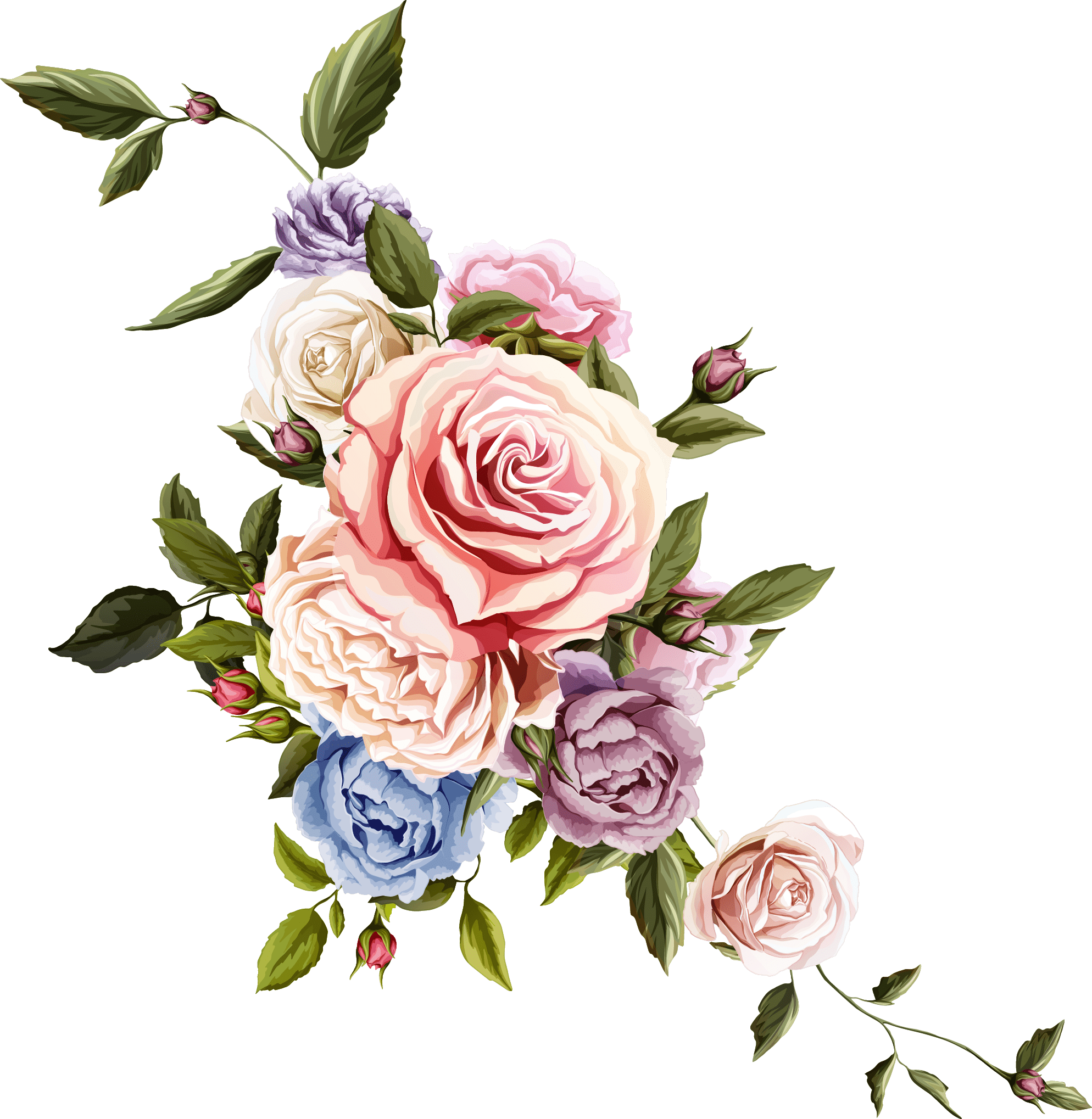 Nice Flower Drawing Free download on ClipArtMag