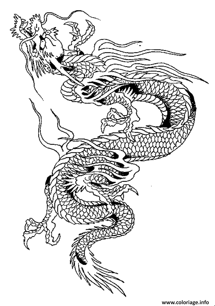 Coloriage Dragon Chinois dessin