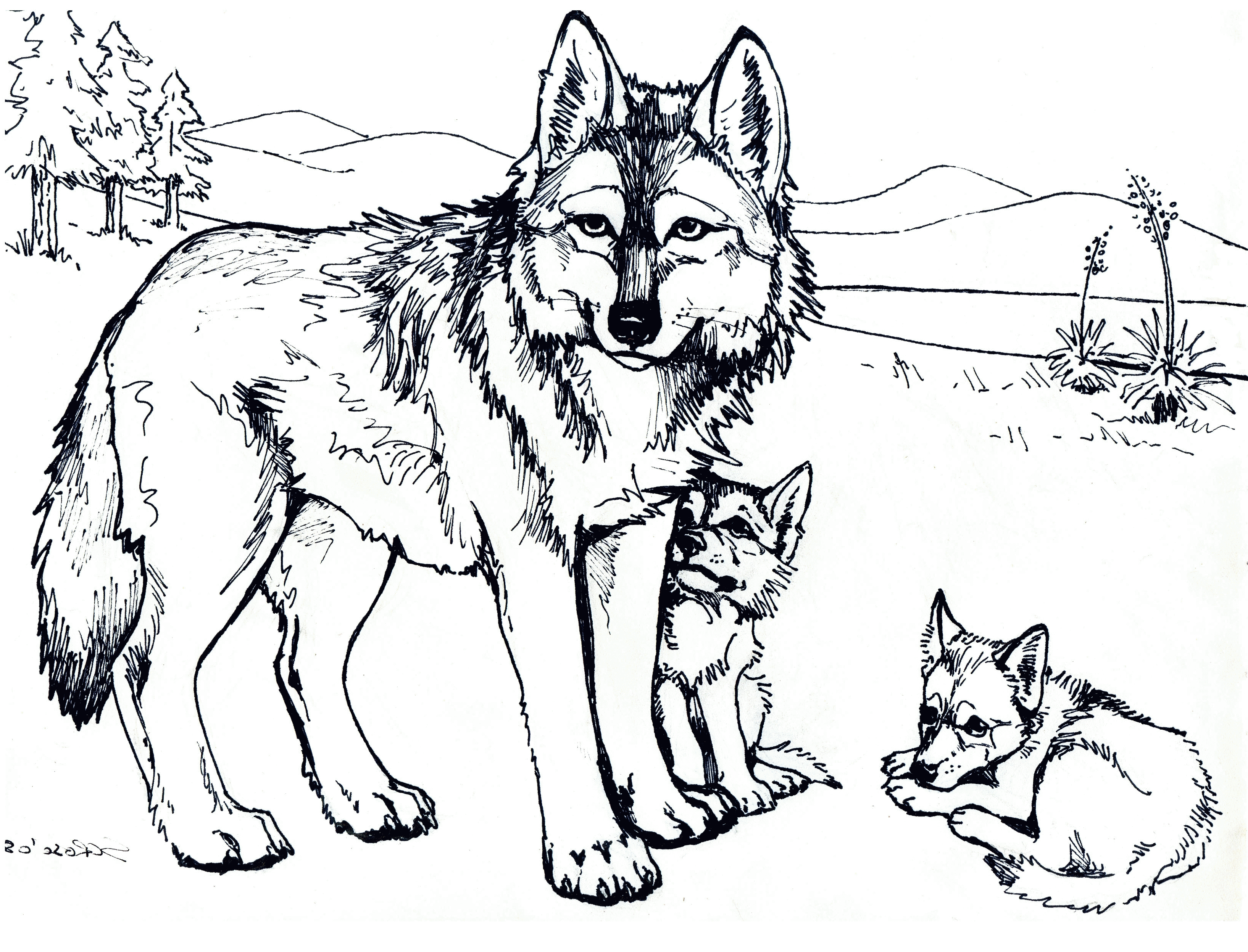 Baby Wolf Coloring Pages To Print Coloring Home
