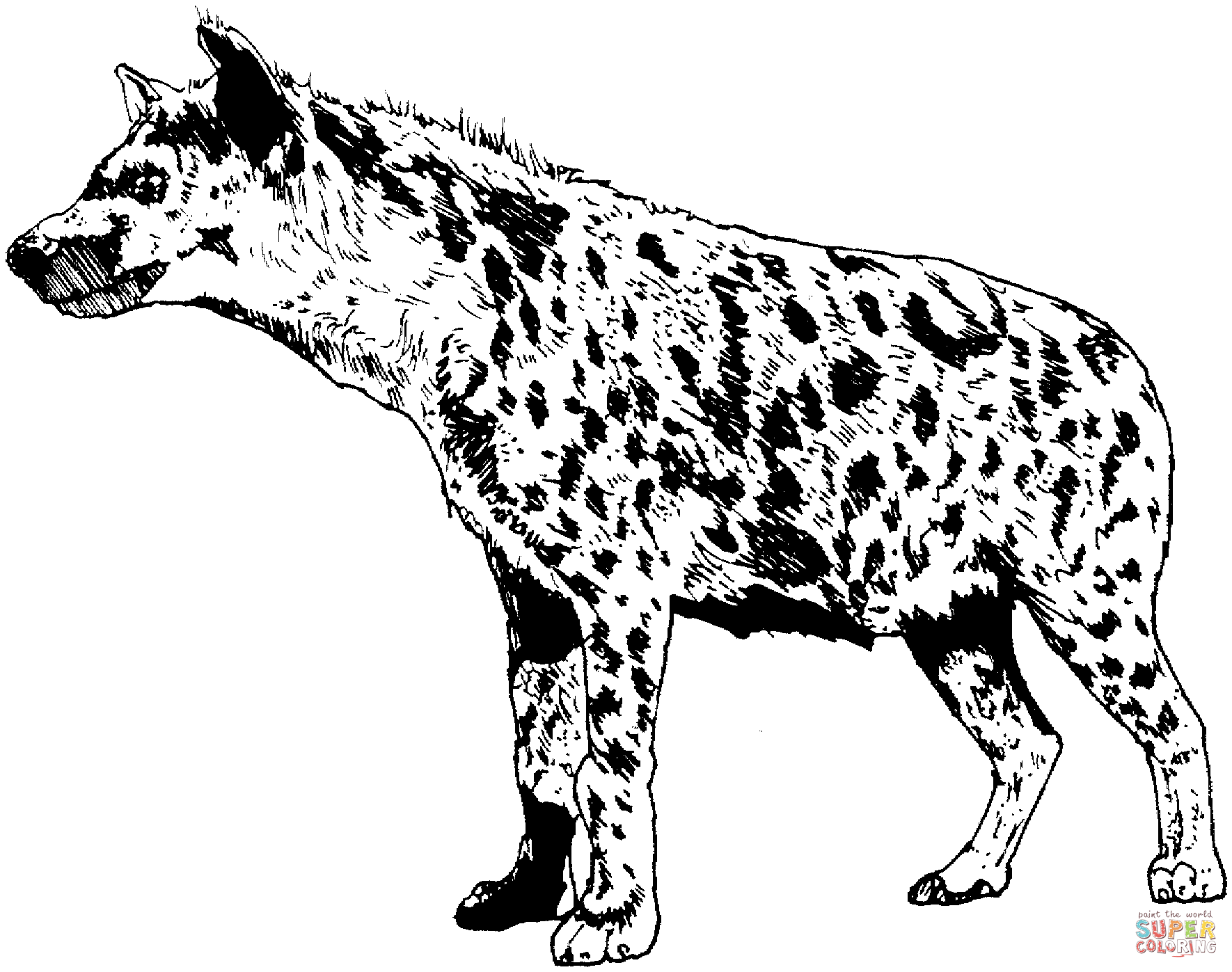 Laughing Hyena Coloring Pages Coloring Home