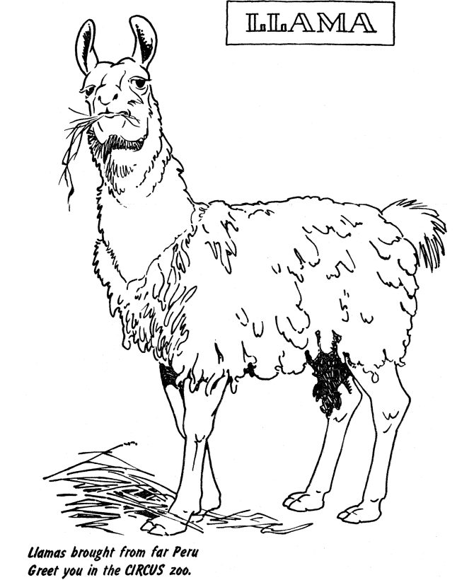 Llama coloring pages to download and print for free