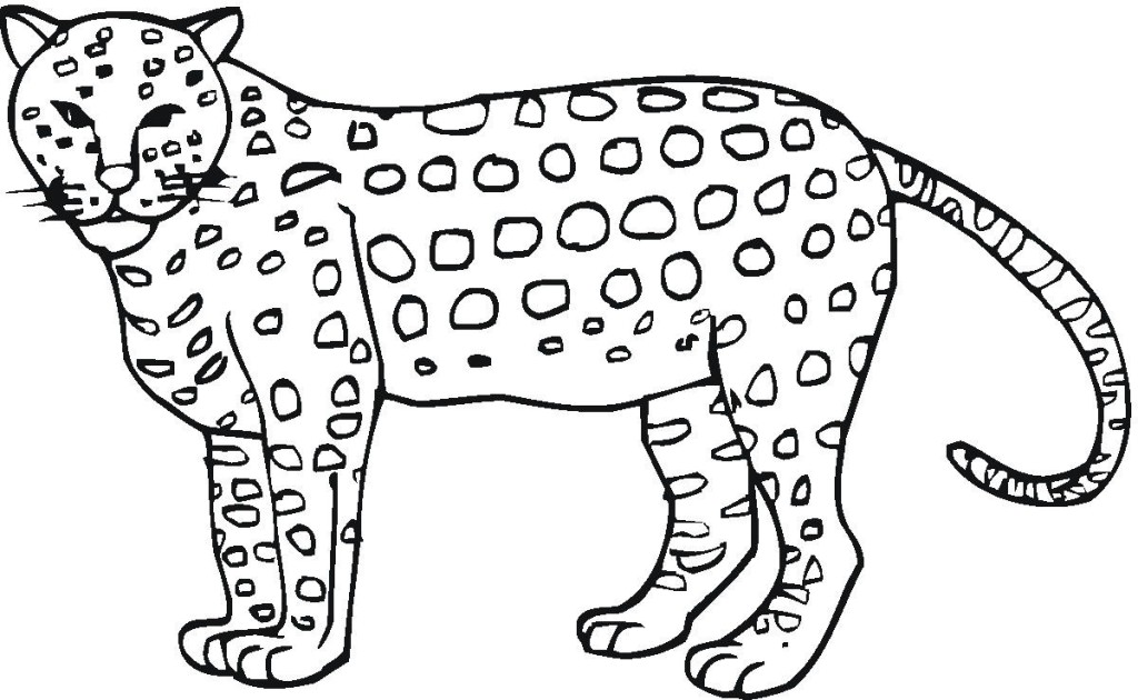 Jaguar coloring pages to download and print for free