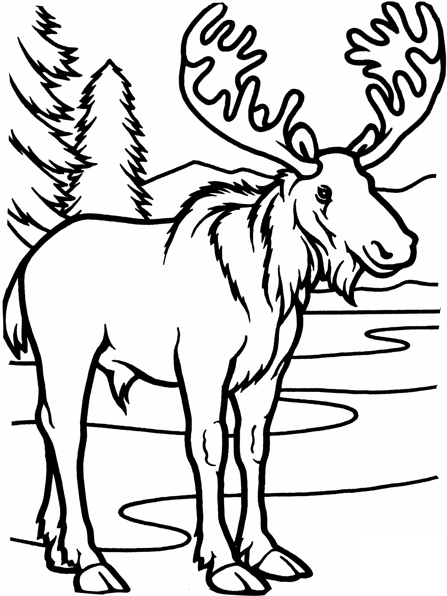 Moose coloring pages to download and print for free