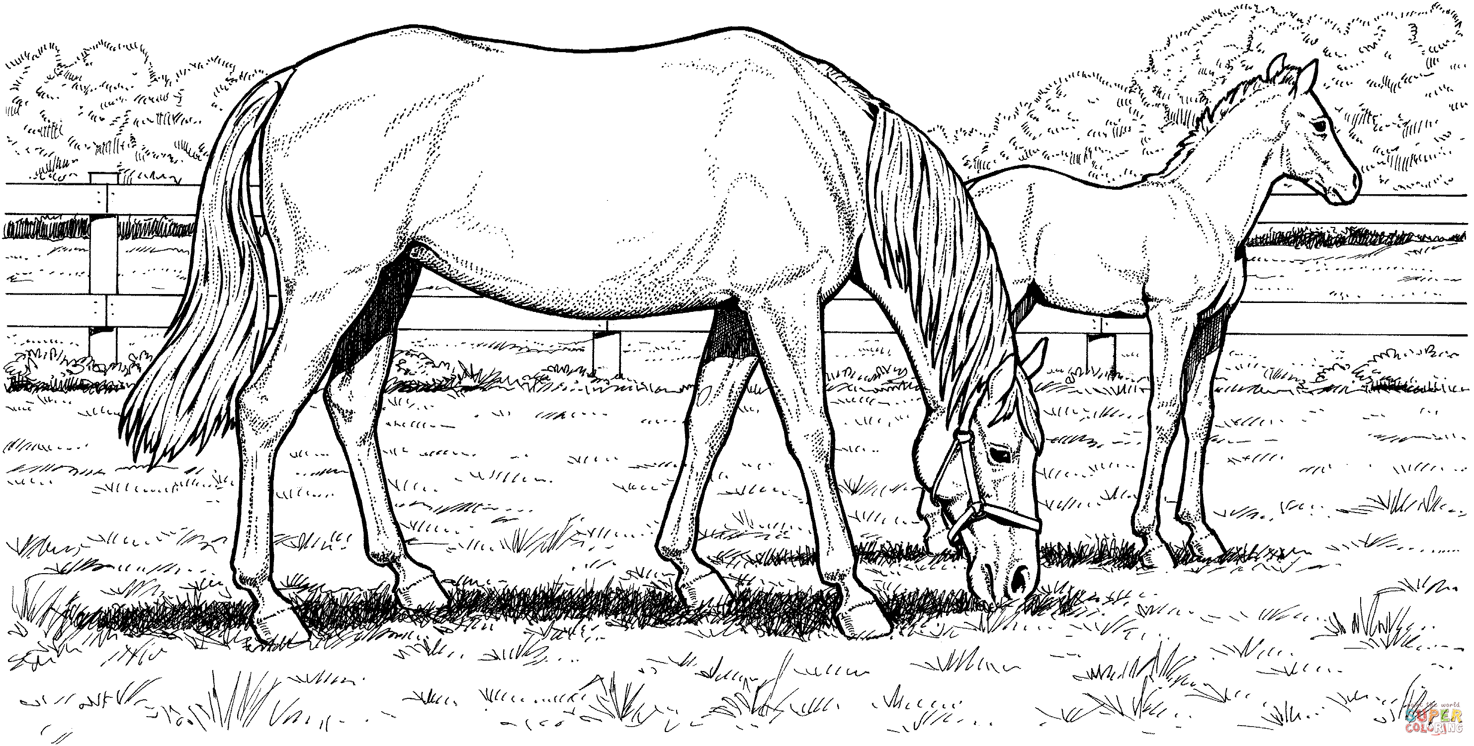 Realistic horse coloring pages to download and print for free