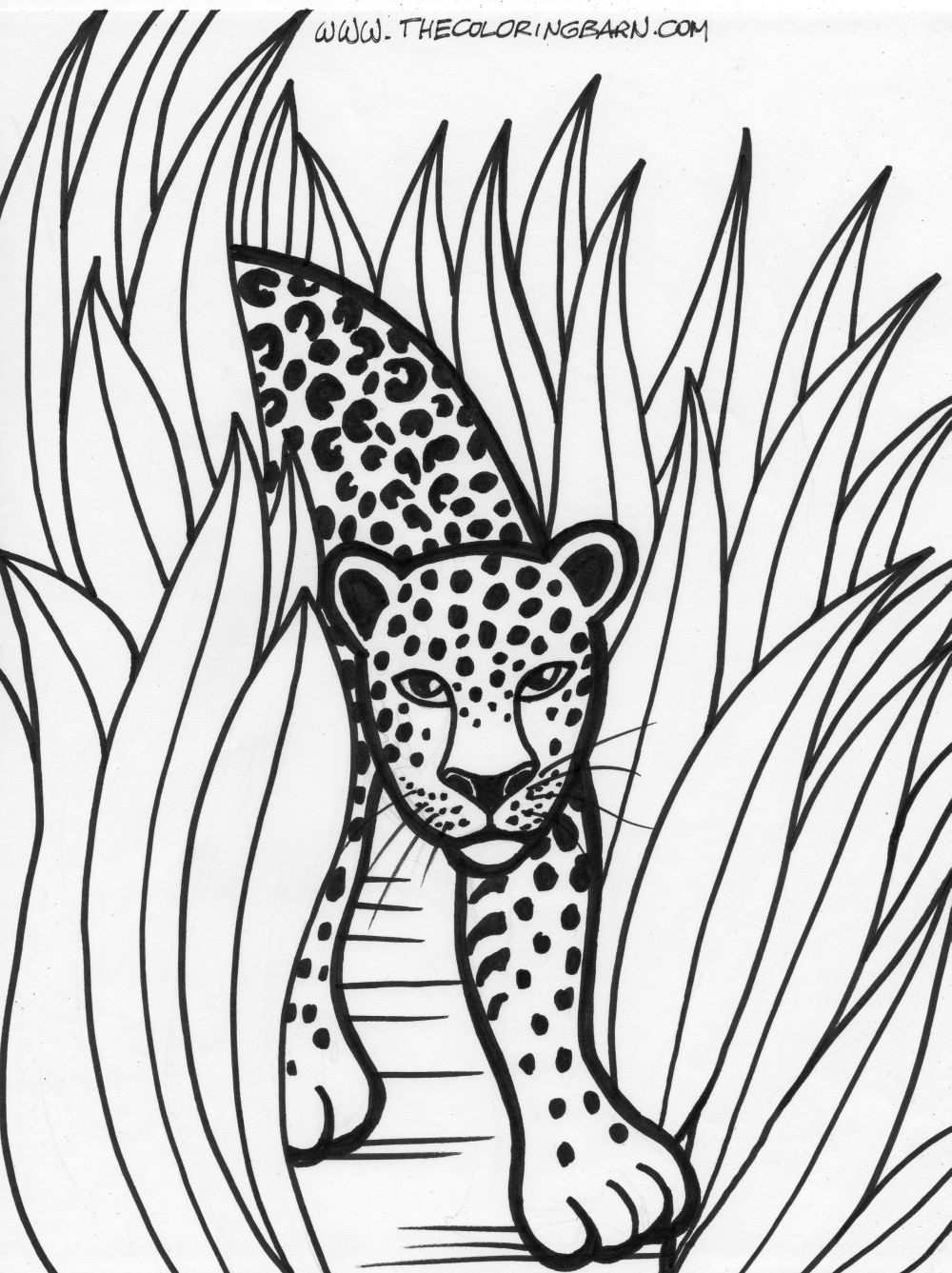 Jungle coloring pages to download and print for free