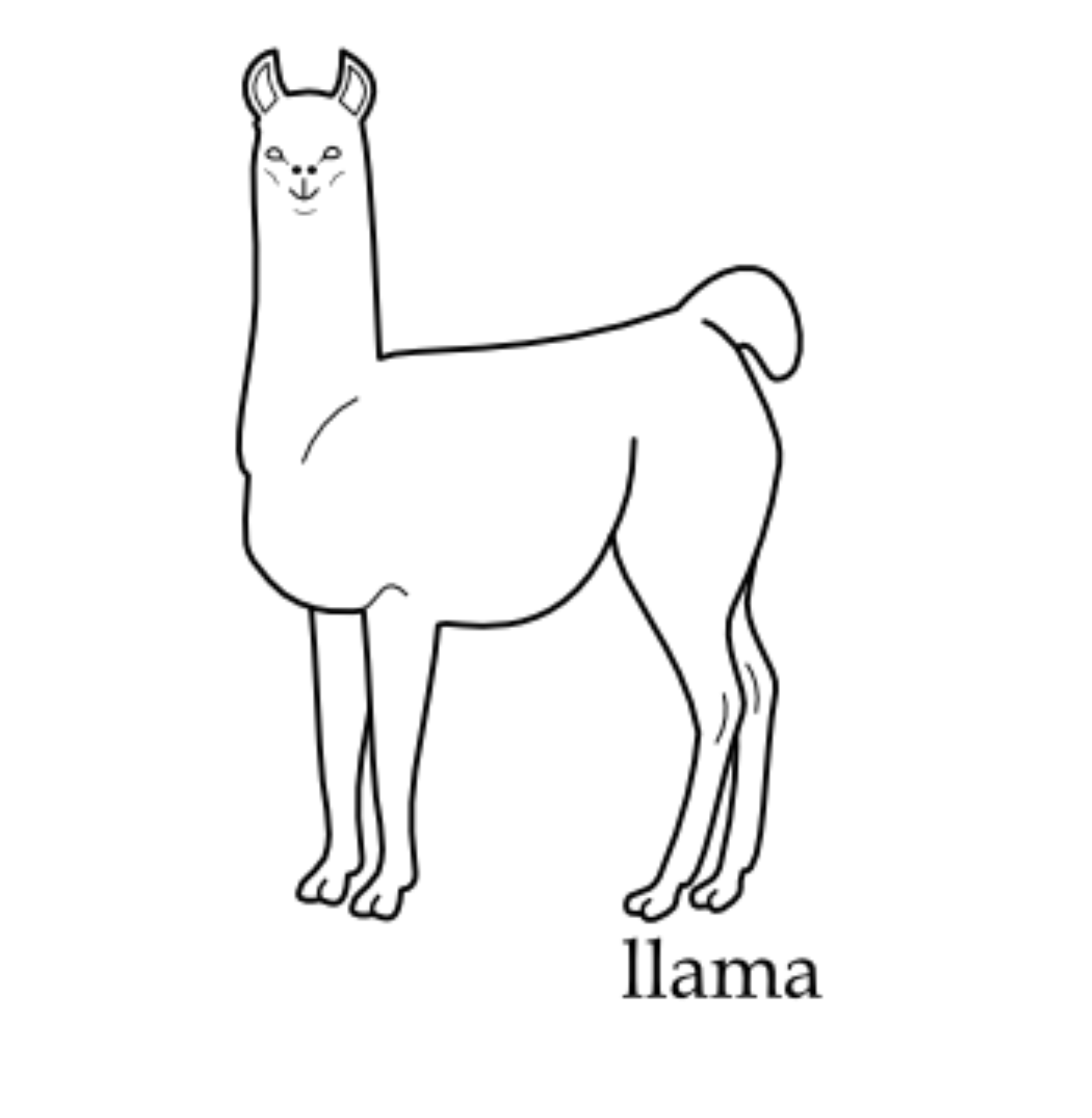 Llama coloring pages to download and print for free