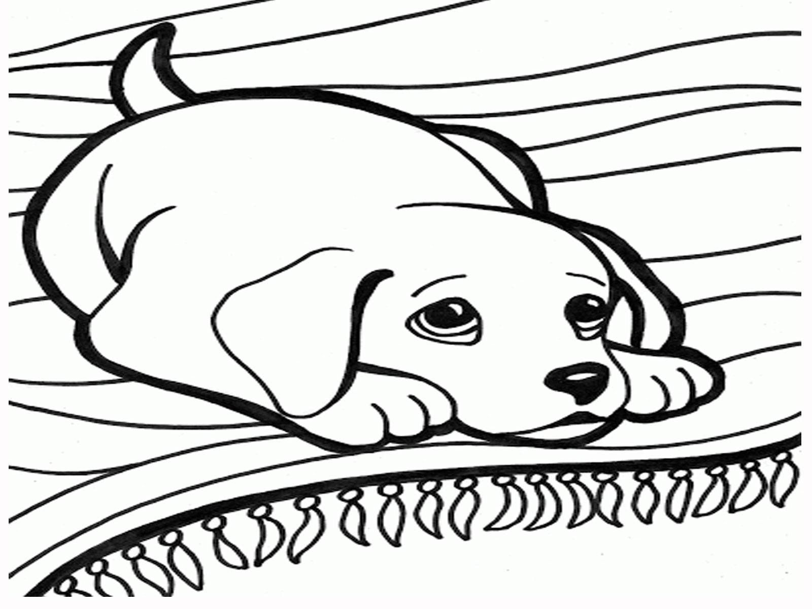 Realistic puppy coloring pages download and print for free