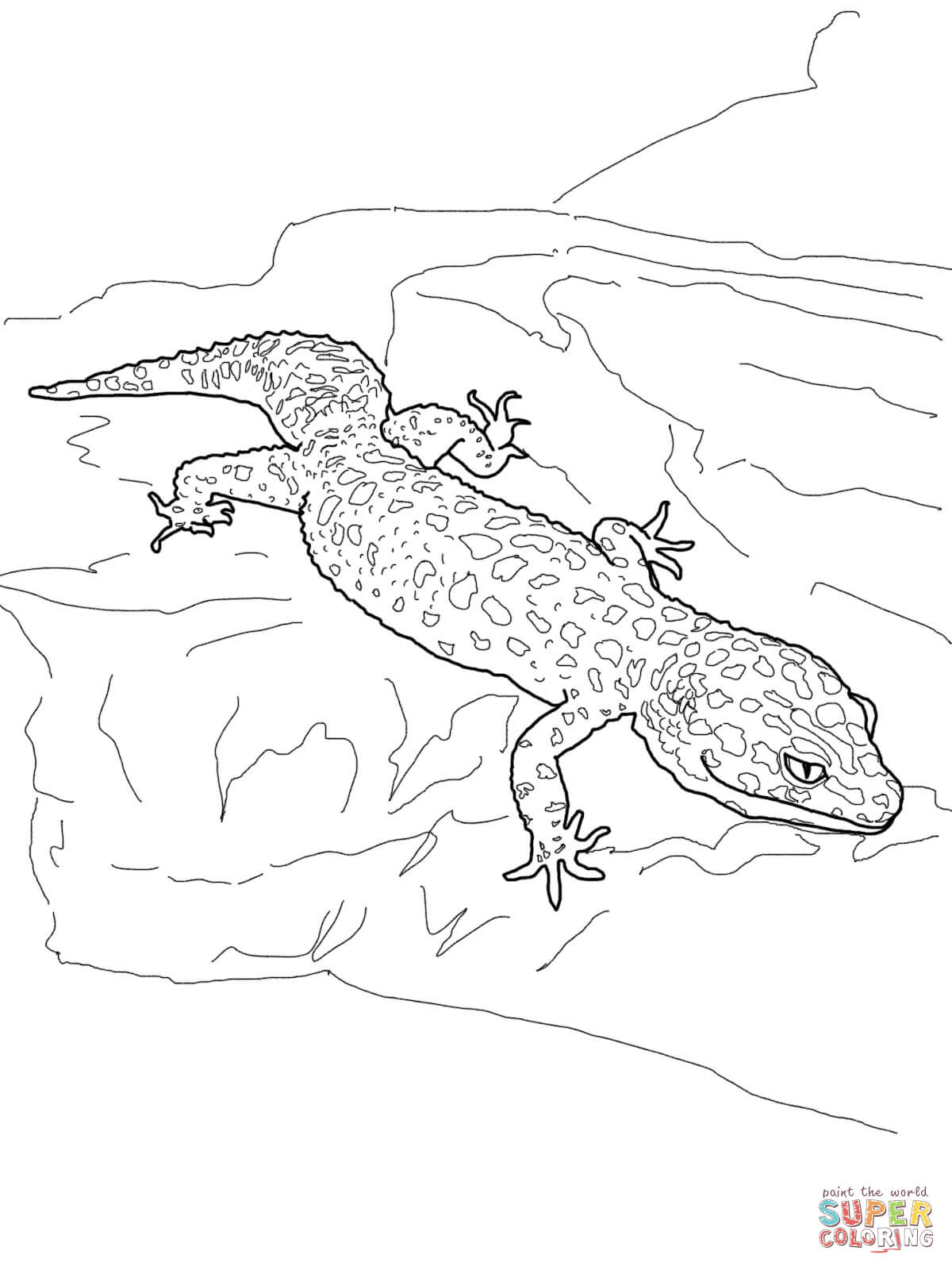 Cartoon gecko coloring pages download and print for free