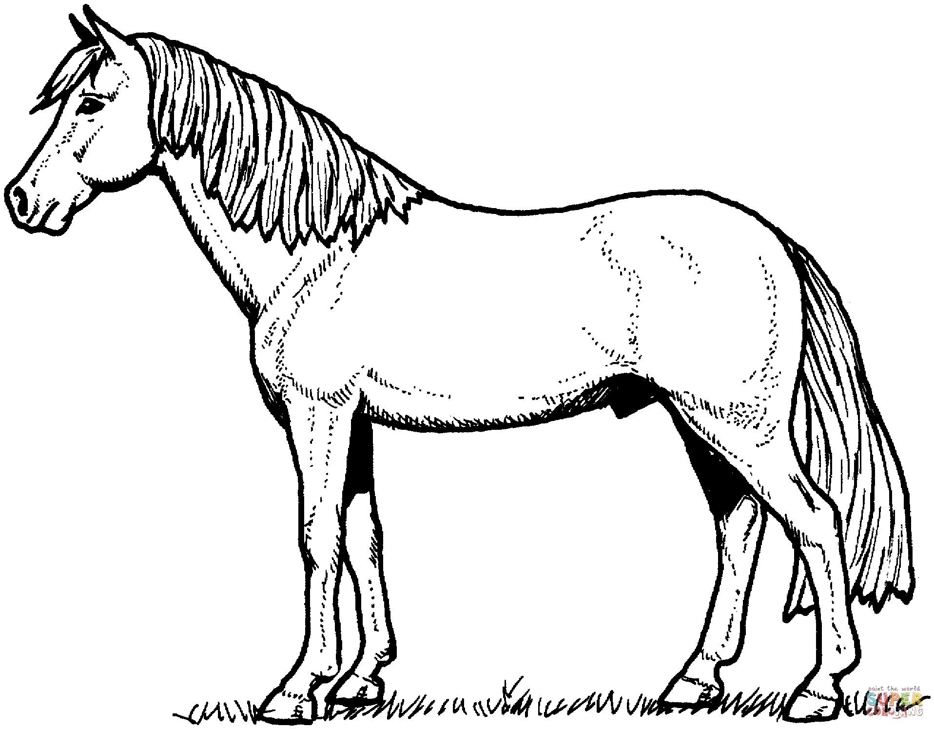 Horse coloring pages to download and print for free