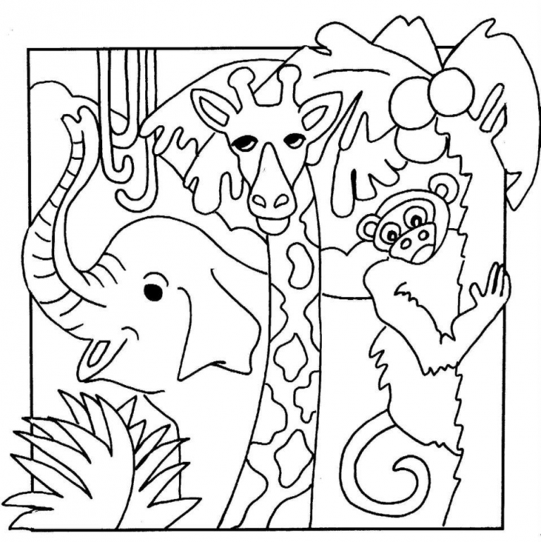 Jungle coloring pages to download and print for free