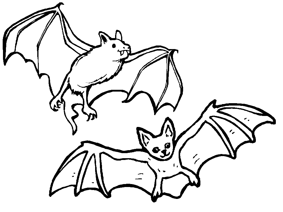 Bat coloring pages to download and print for free