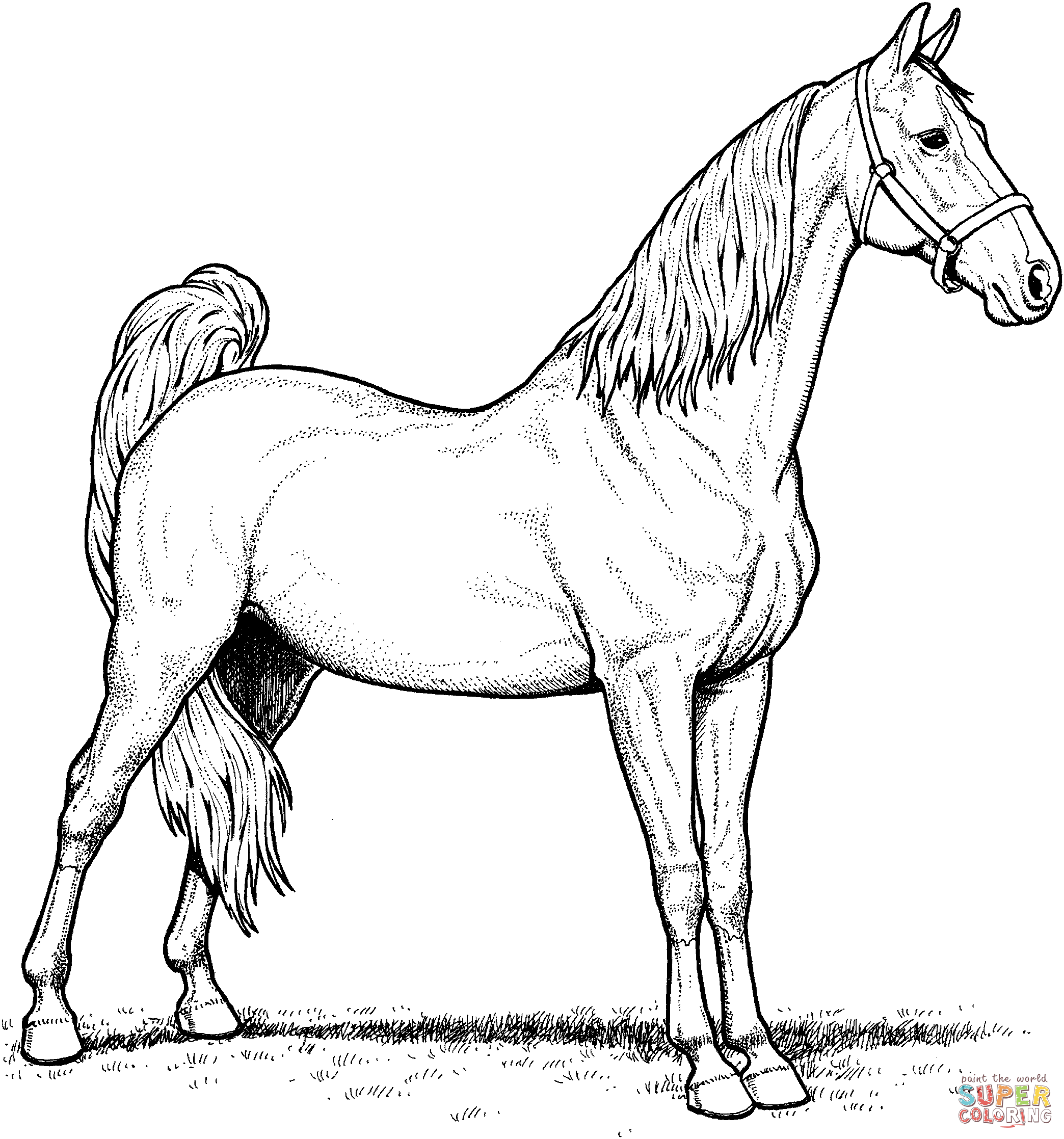 Horse coloring pages to download and print for free