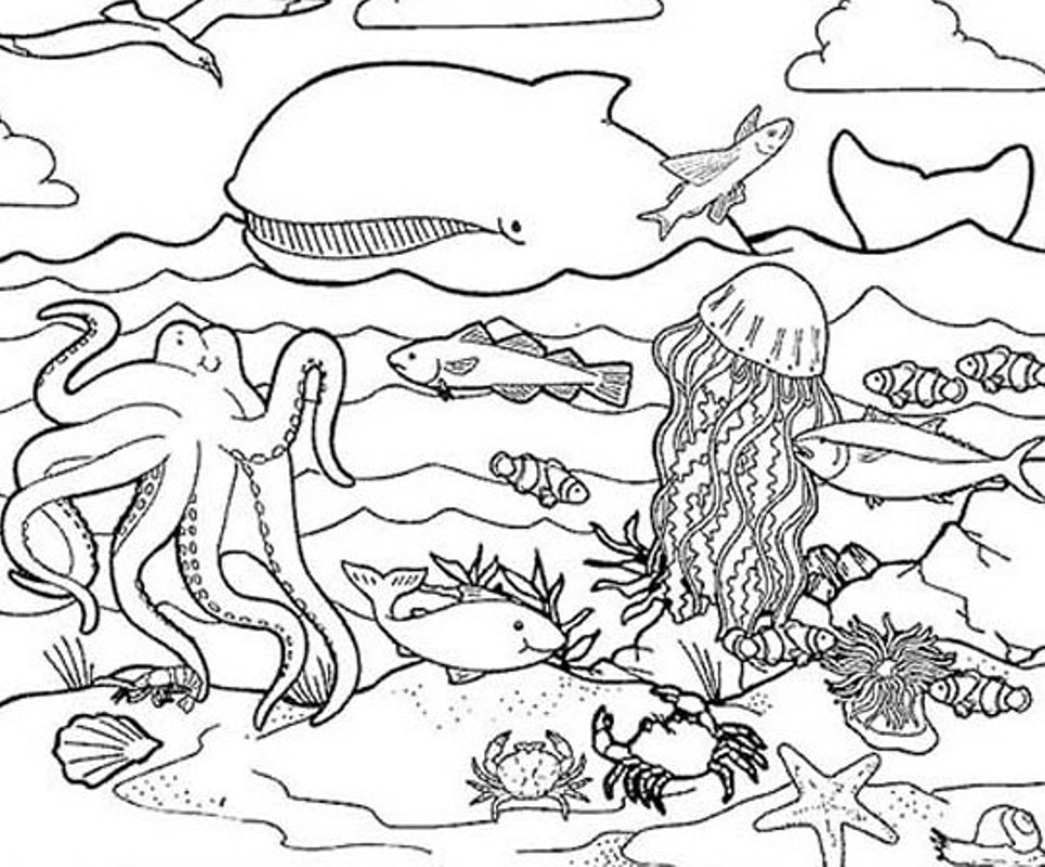 Under the sea coloring pages to download and print for free