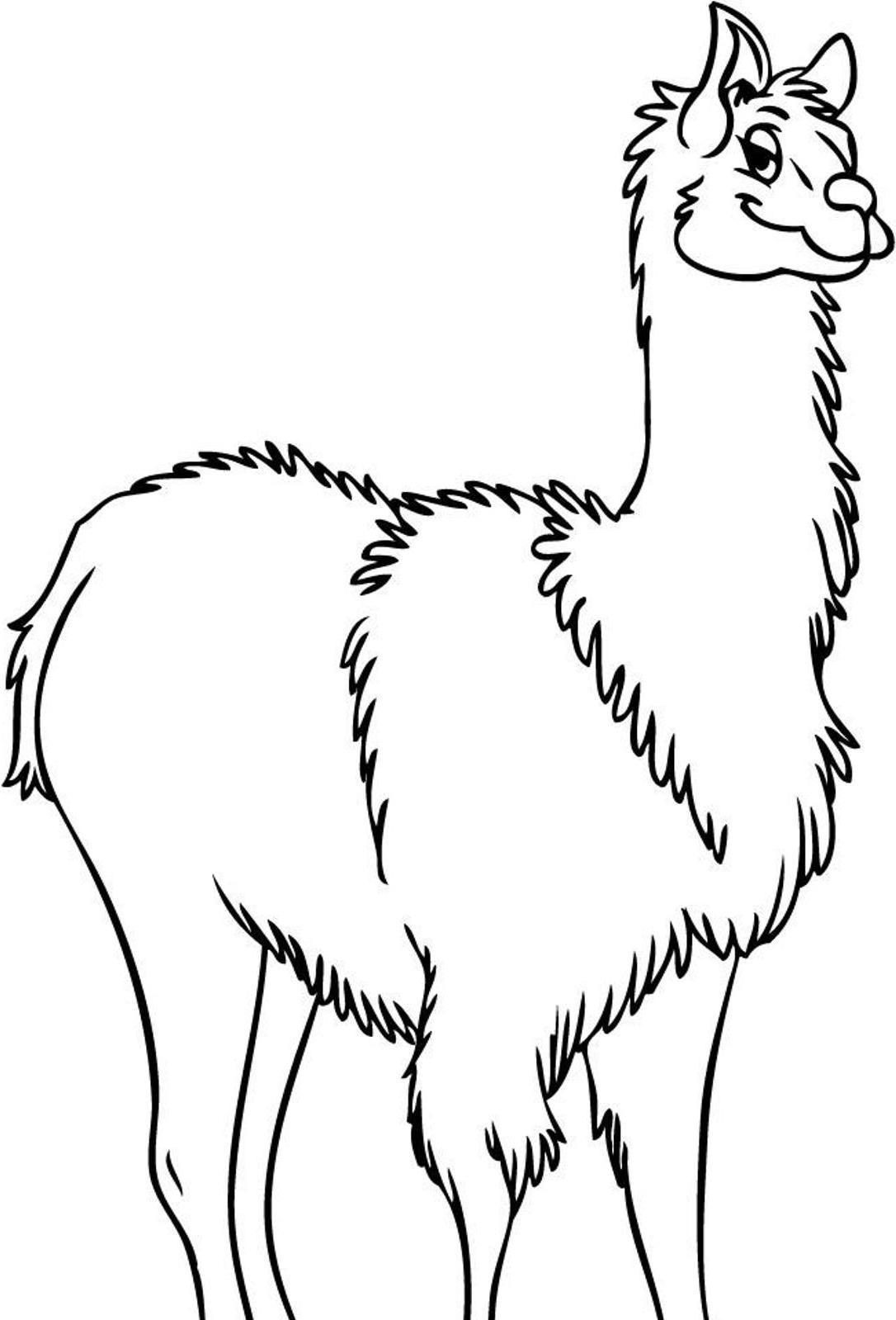 Llama coloring pages to download and print for free