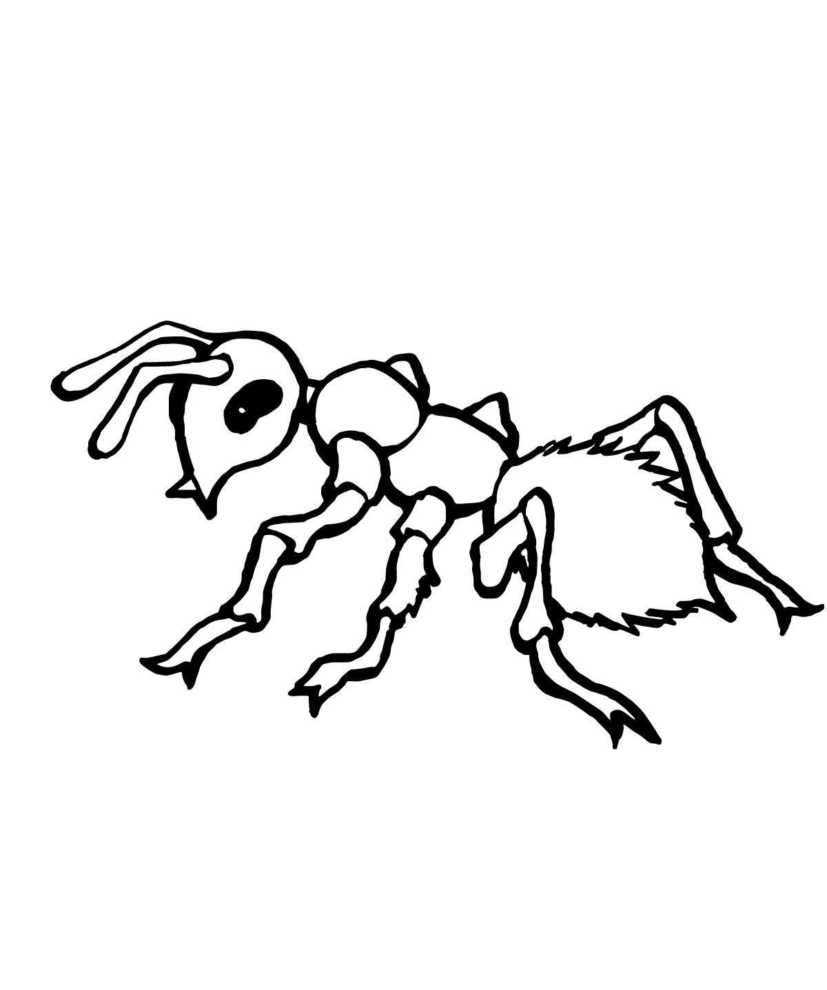 Ant coloring pages to download and print for free