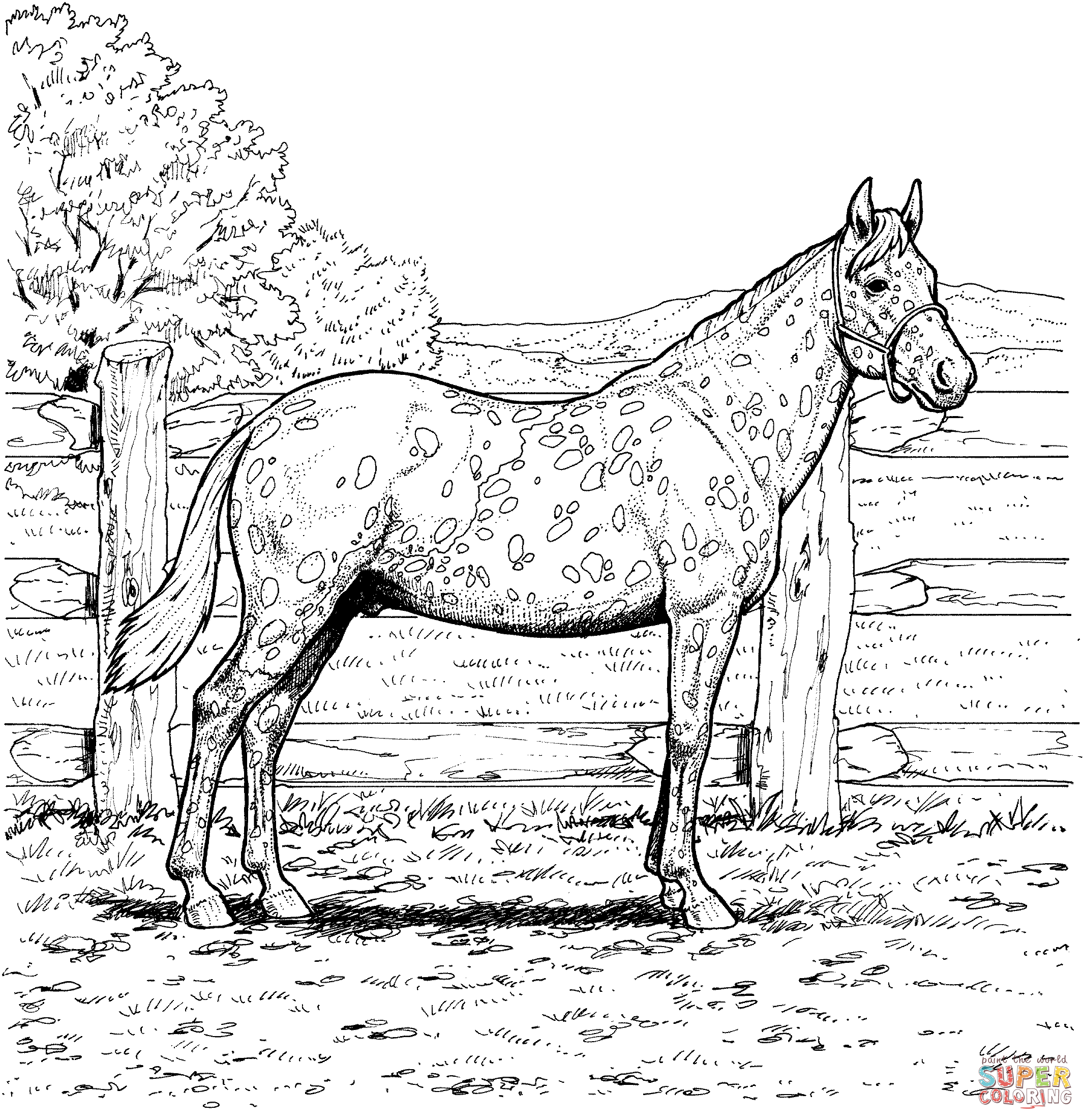 Palomino horse coloring pages download and print for free