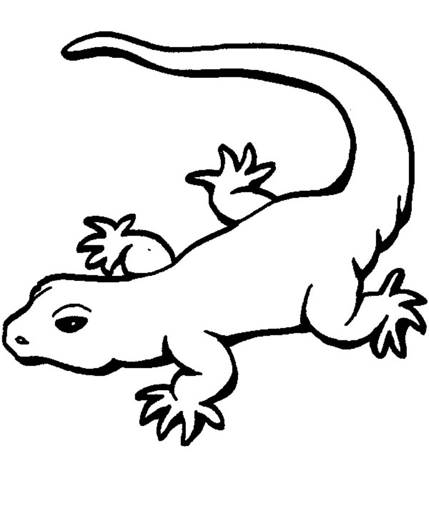 Cartoon gecko coloring pages download and print for free