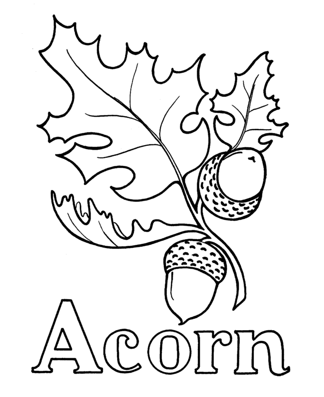 Acorn coloring pages to download and print for free