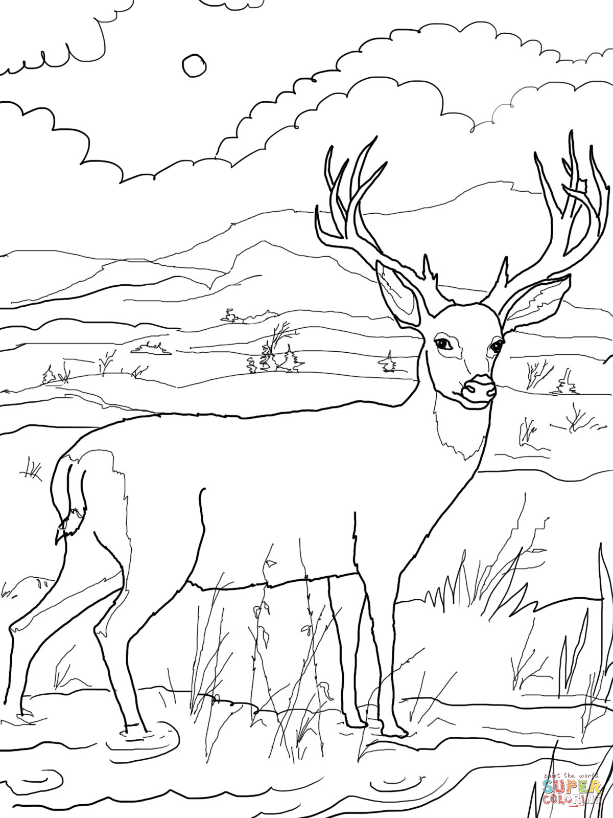 Red deer coloring pages download and print for free