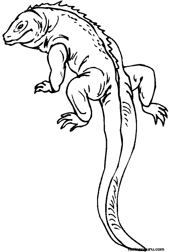 Cartoon gecko coloring pages download and print for free