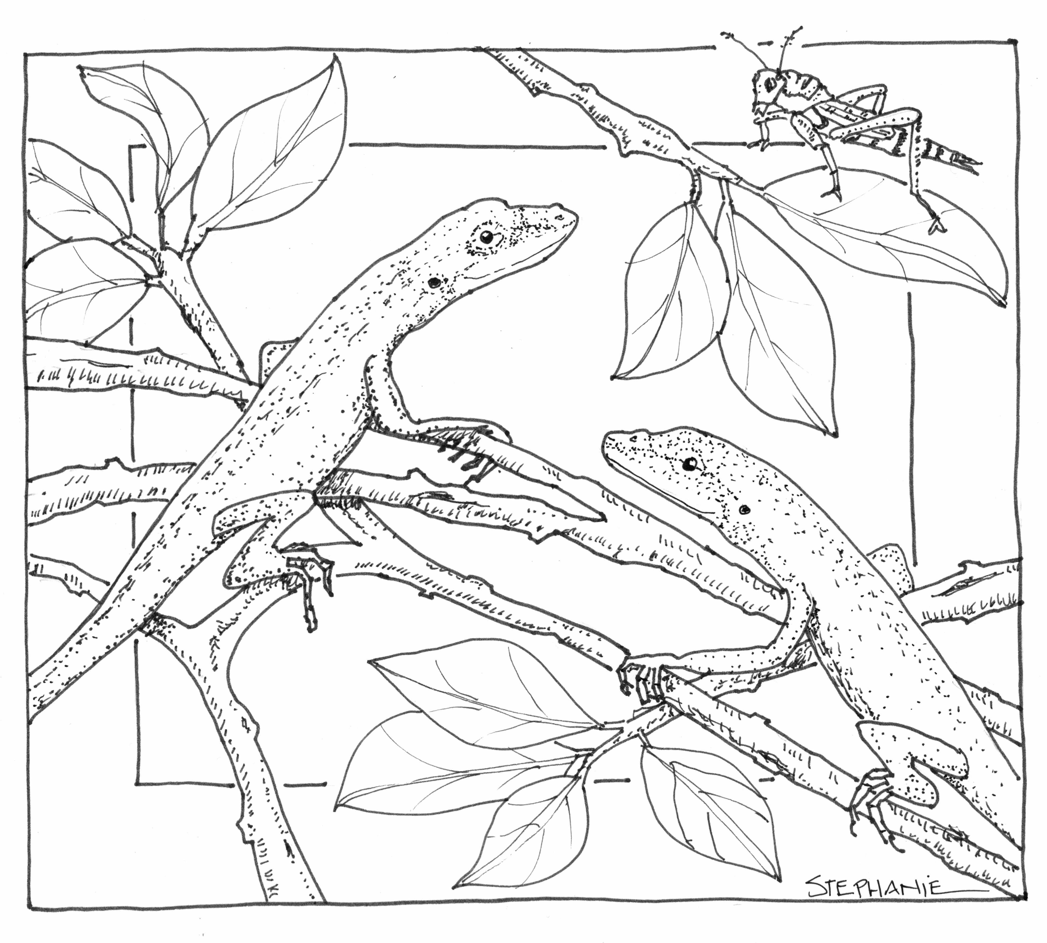 Nature coloring pages to download and print for free