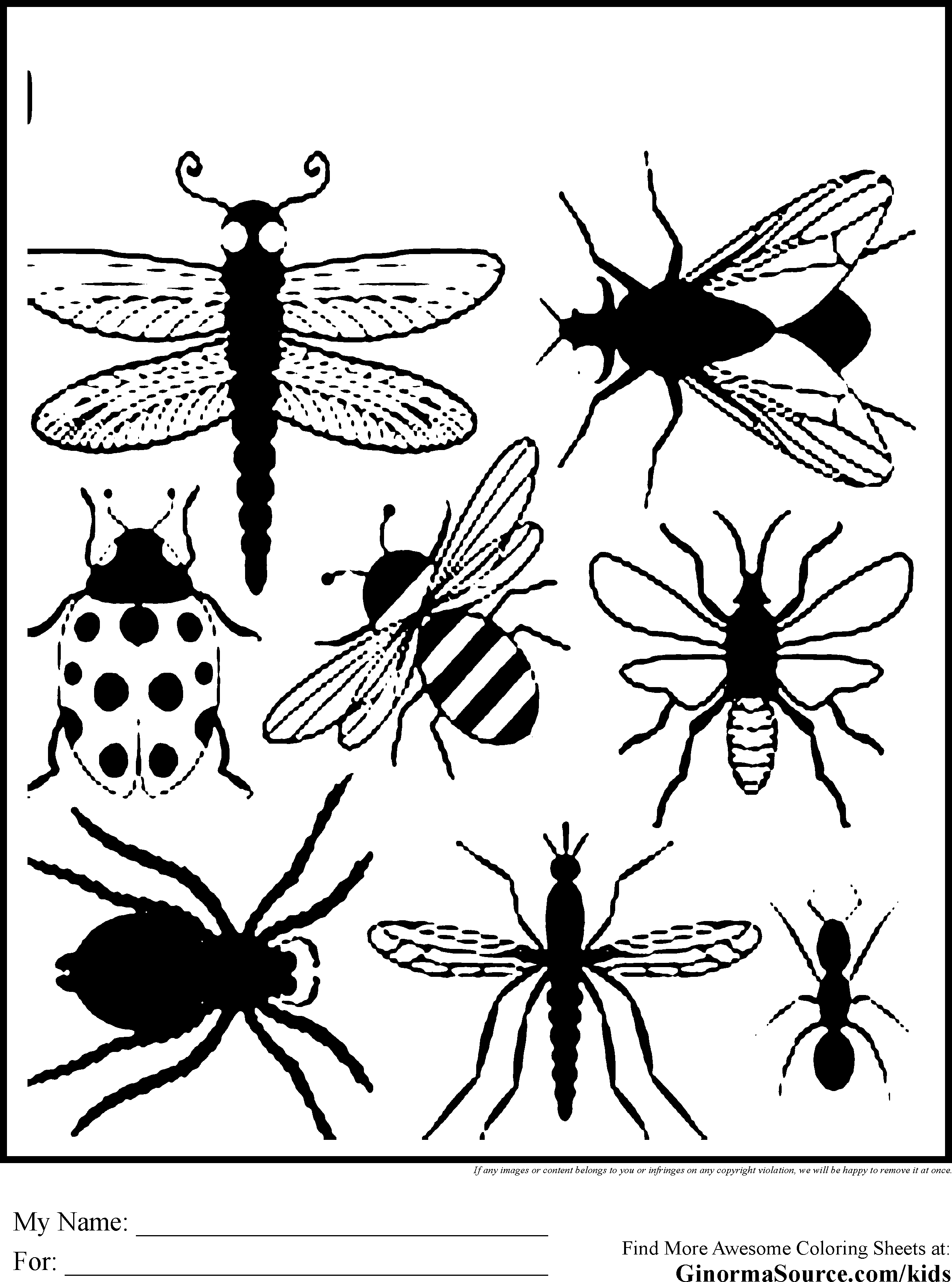 Insect coloring pages to download and print for free