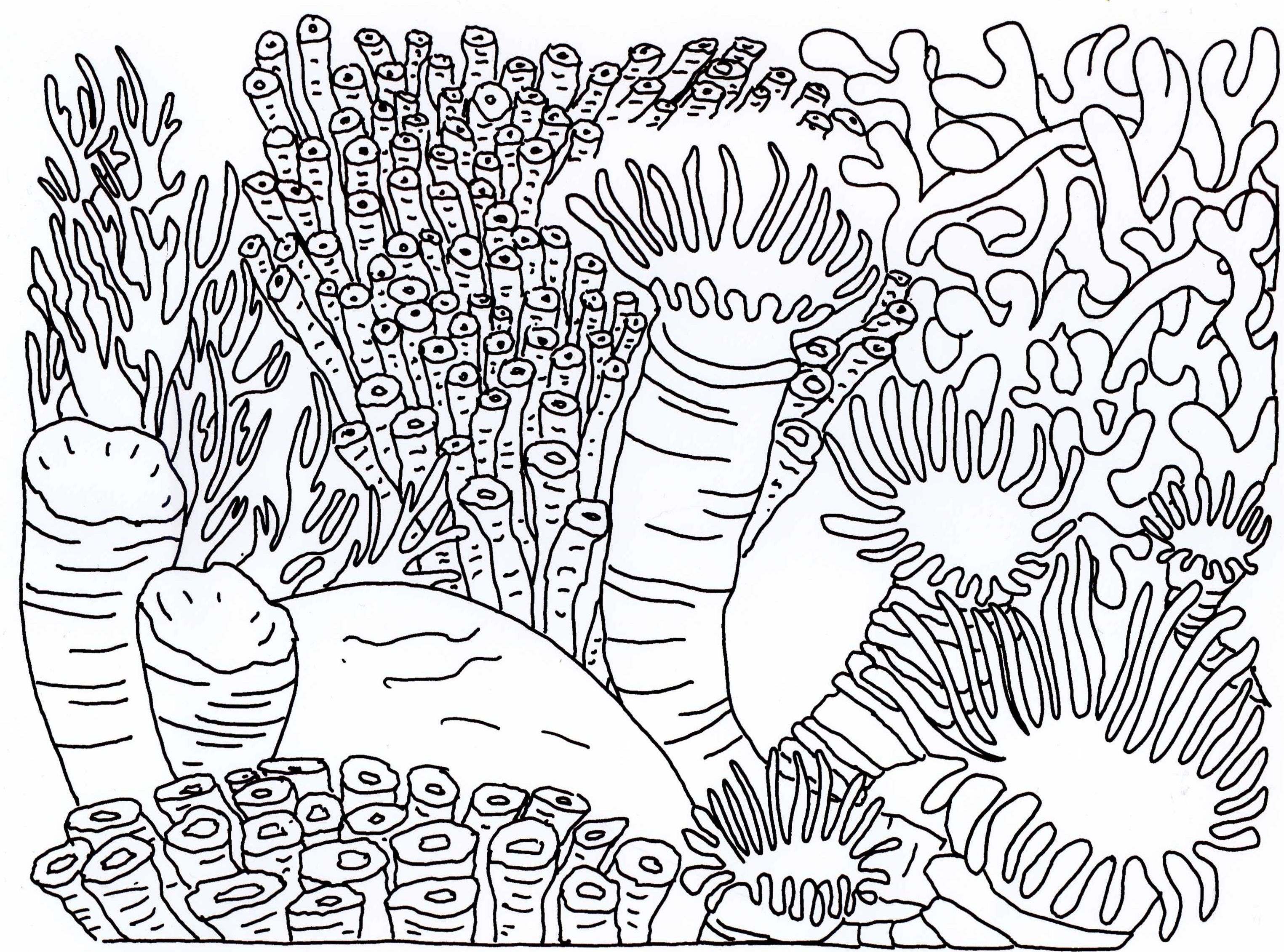 Coral reef coloring pages to download and print for free