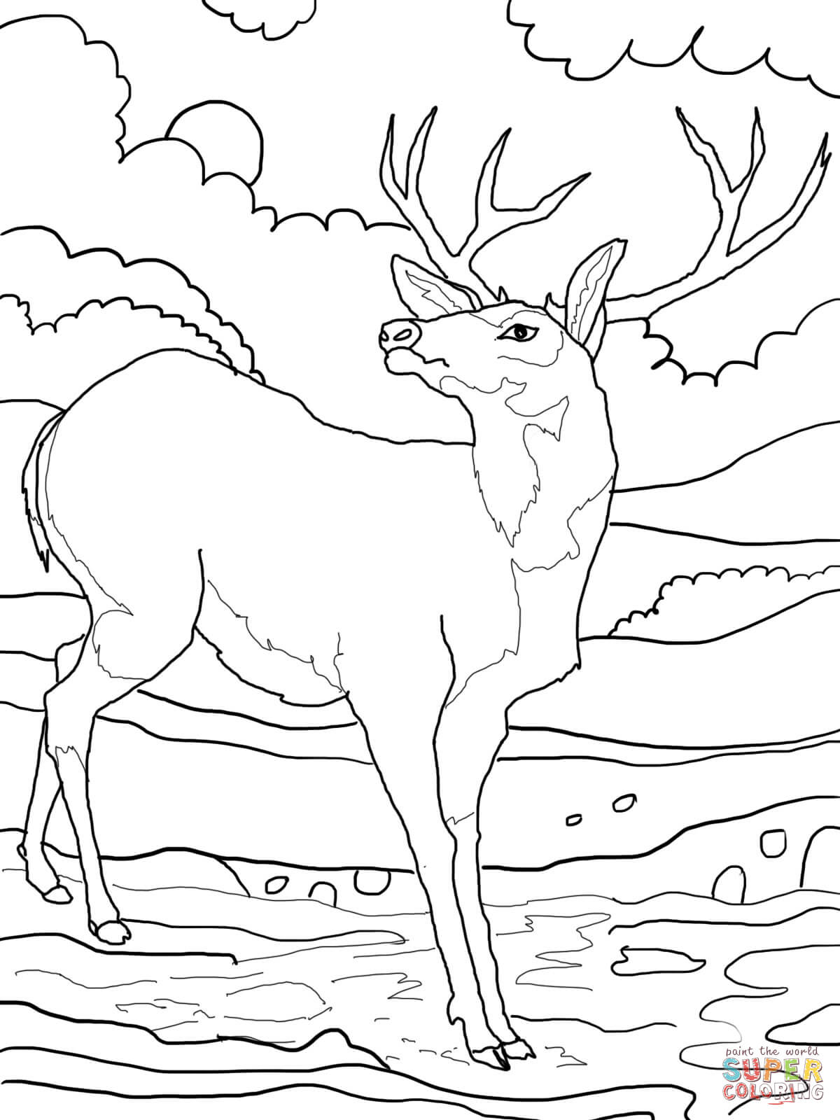 Red deer coloring pages download and print for free