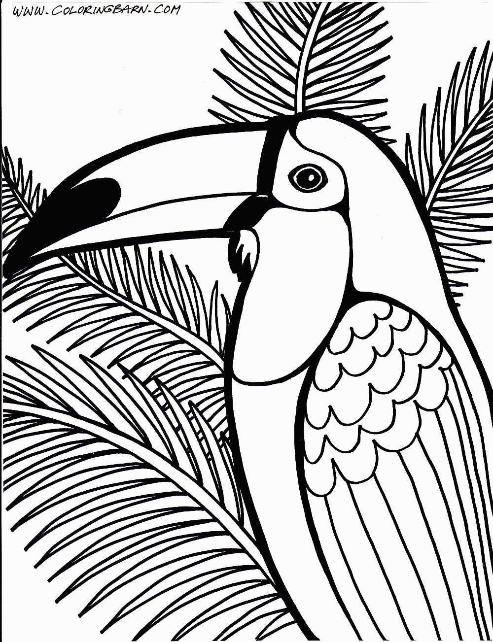 Rainforest coloring pages to download and print for free