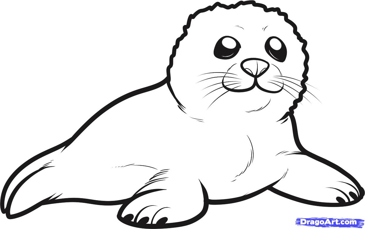 Seal coloring pages download and print for free