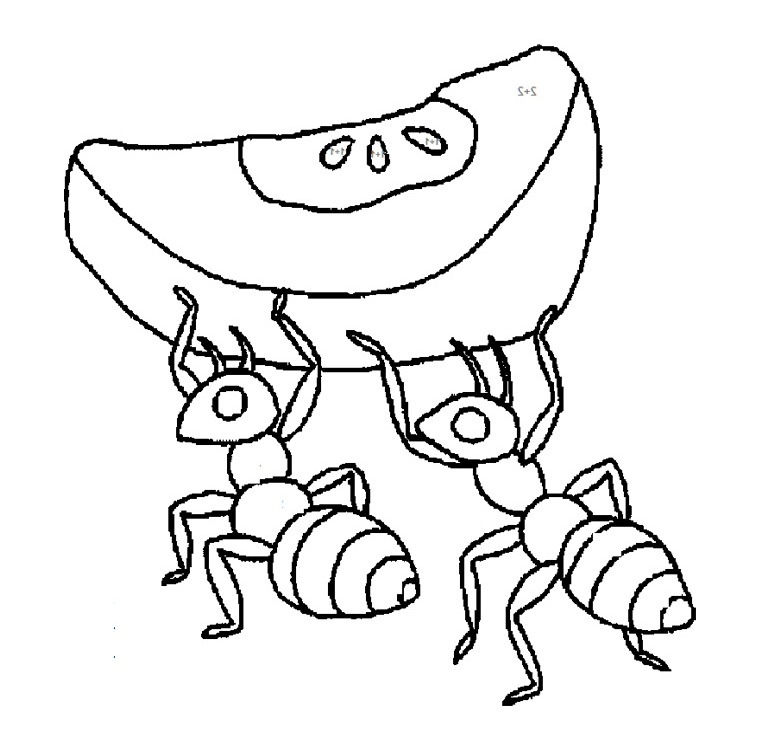 Ants marching coloring pages download and print for free