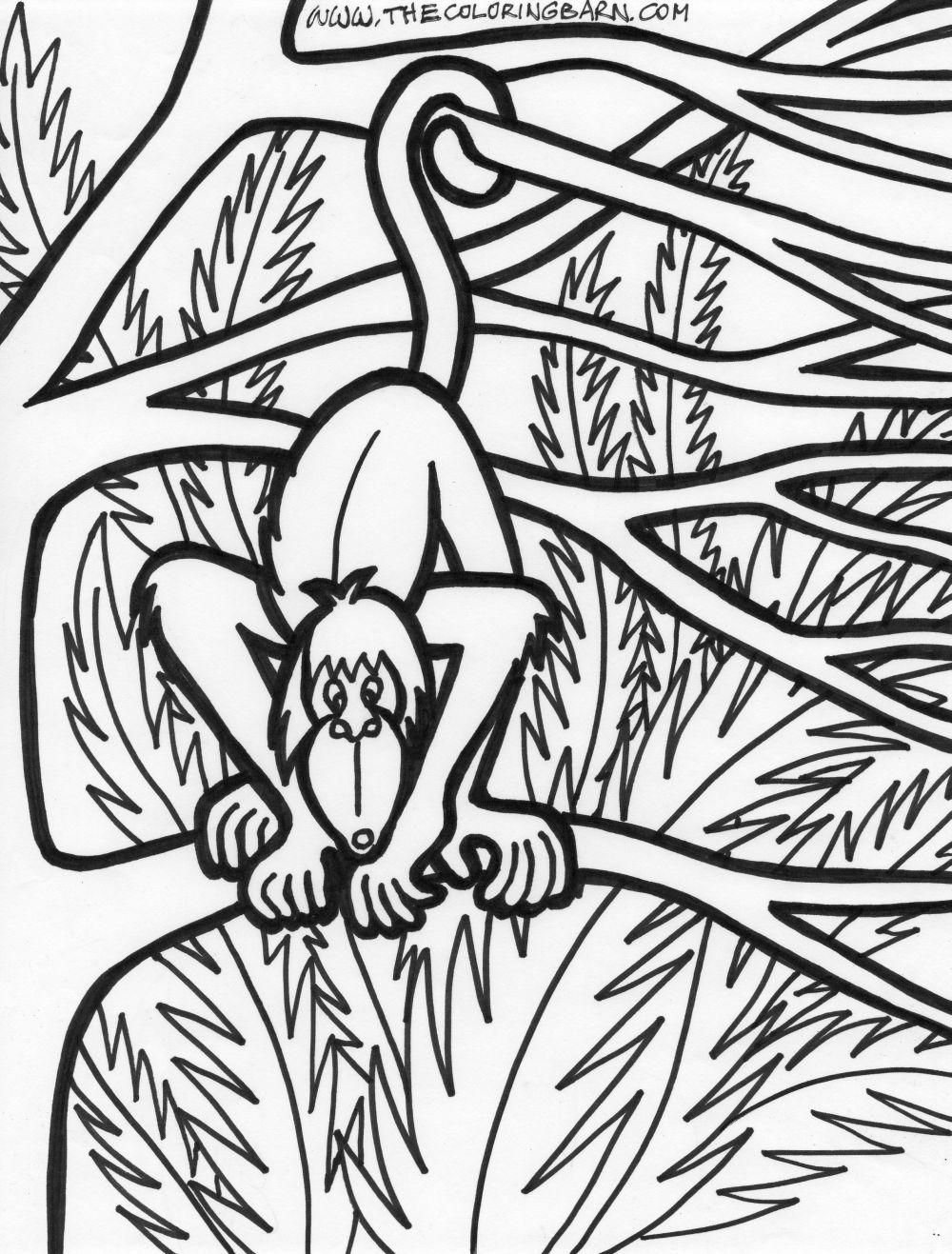 Jungle coloring pages to download and print for free