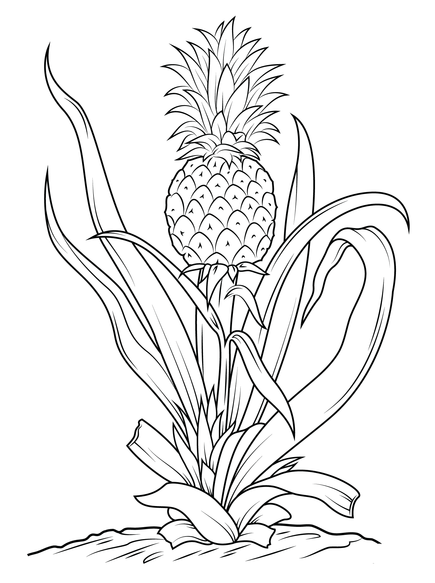Pineapple coloring pages to download and print for free