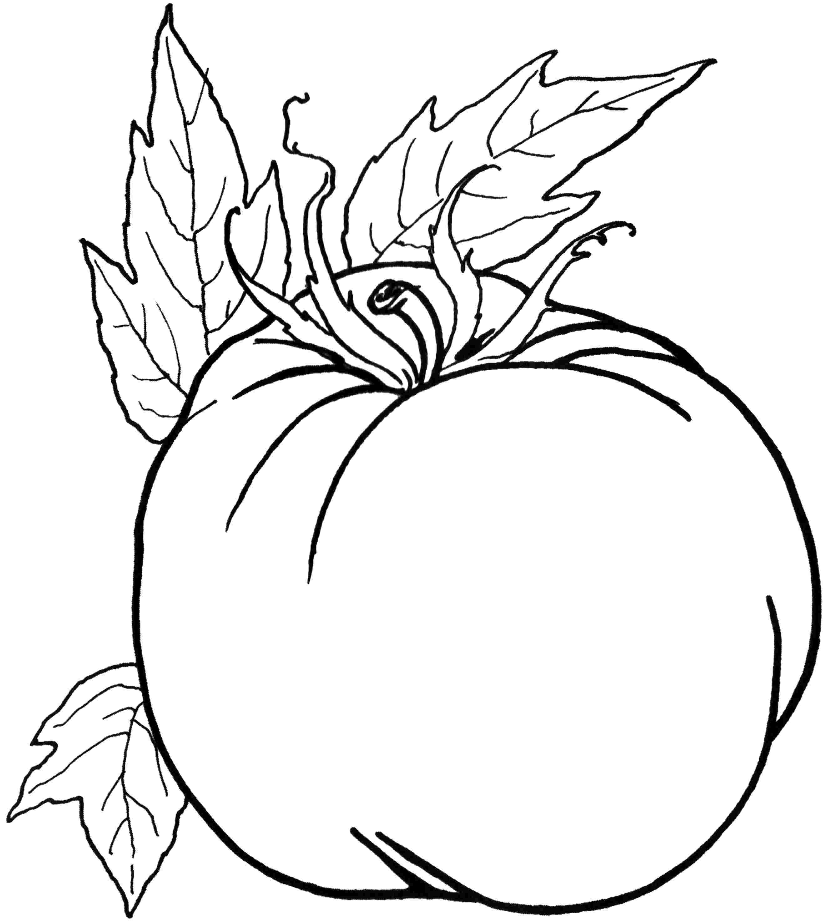 Vegetable Coloring Pages for childrens printable for free