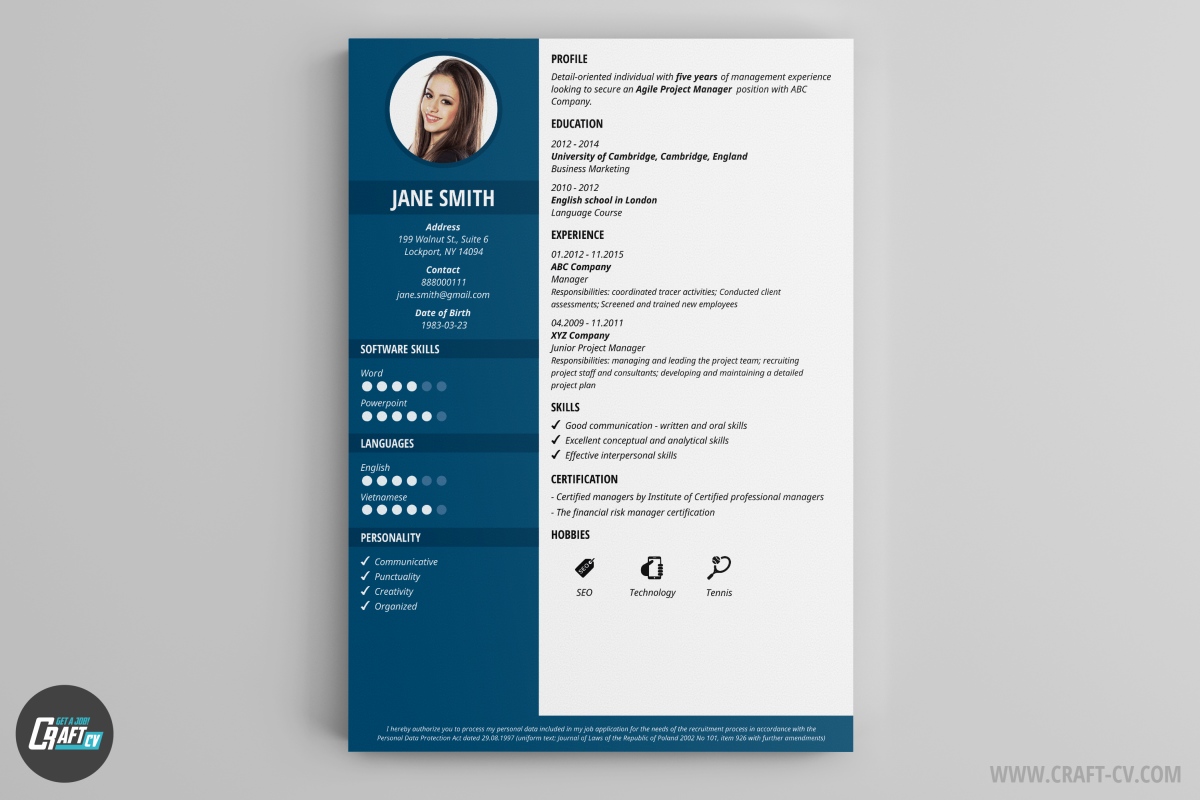 CV Maker Professional CV Examples Online CV Builder CraftCv