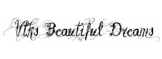 50+ Beautiful Calligraphy Fonts for Designers Creative