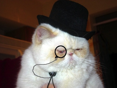 Monocle Top Hat Cat Cute Cats in Hats