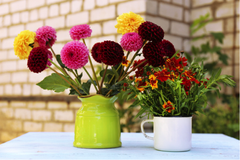 Tips to Make Flowers Last Longer at Home 24/7 Moms