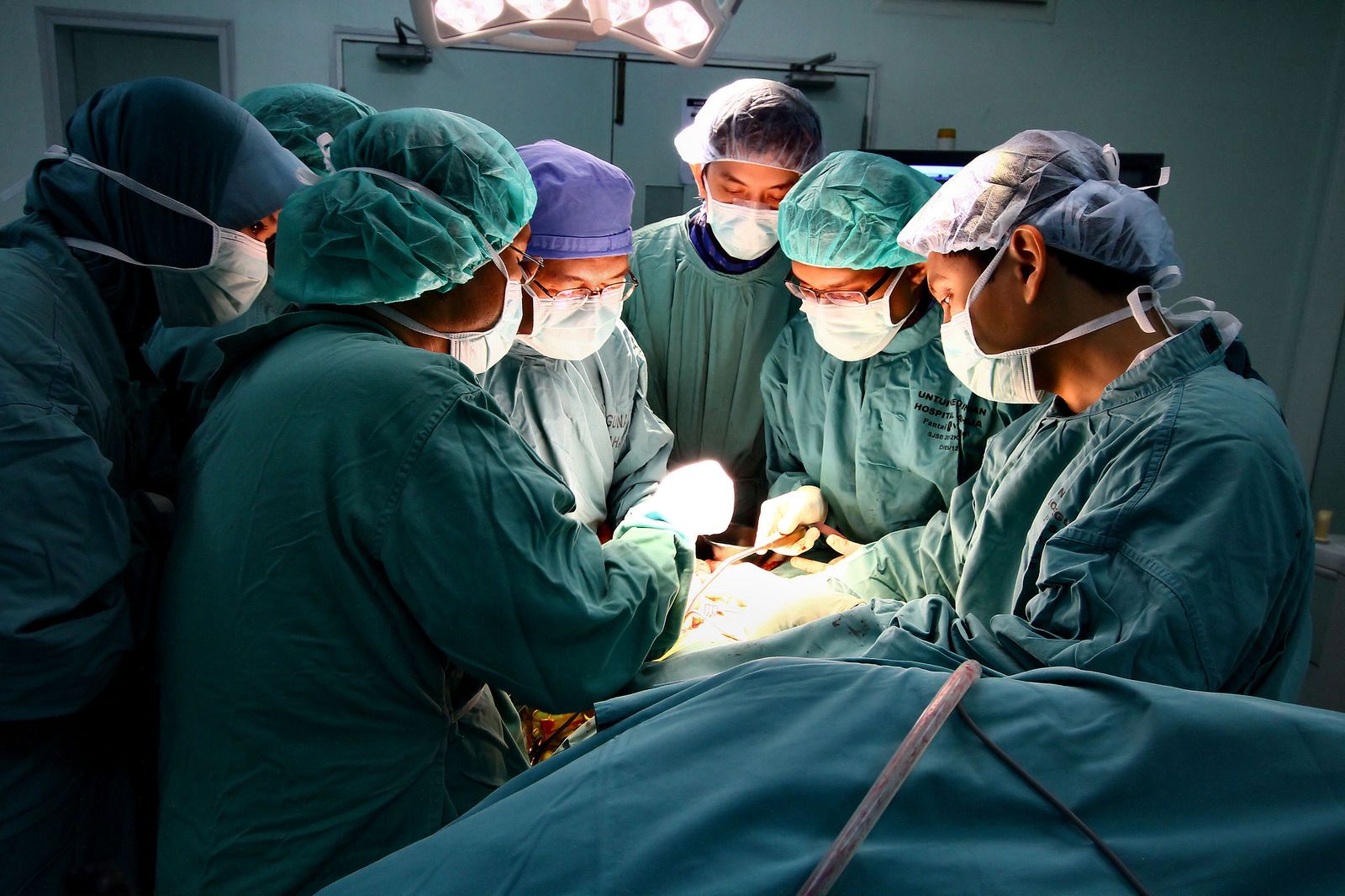 Veterinary Technician & Veterinary Assistant Data USA