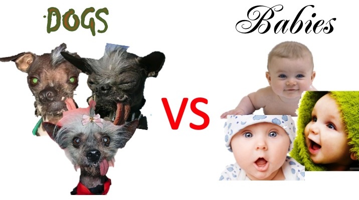 Lurnin' with Dave Dogs vs. Babies