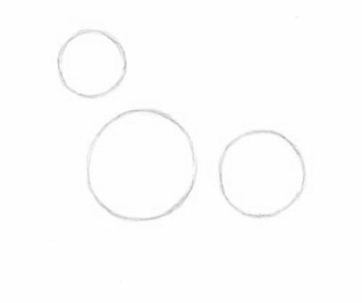 как нарисовать морду волка