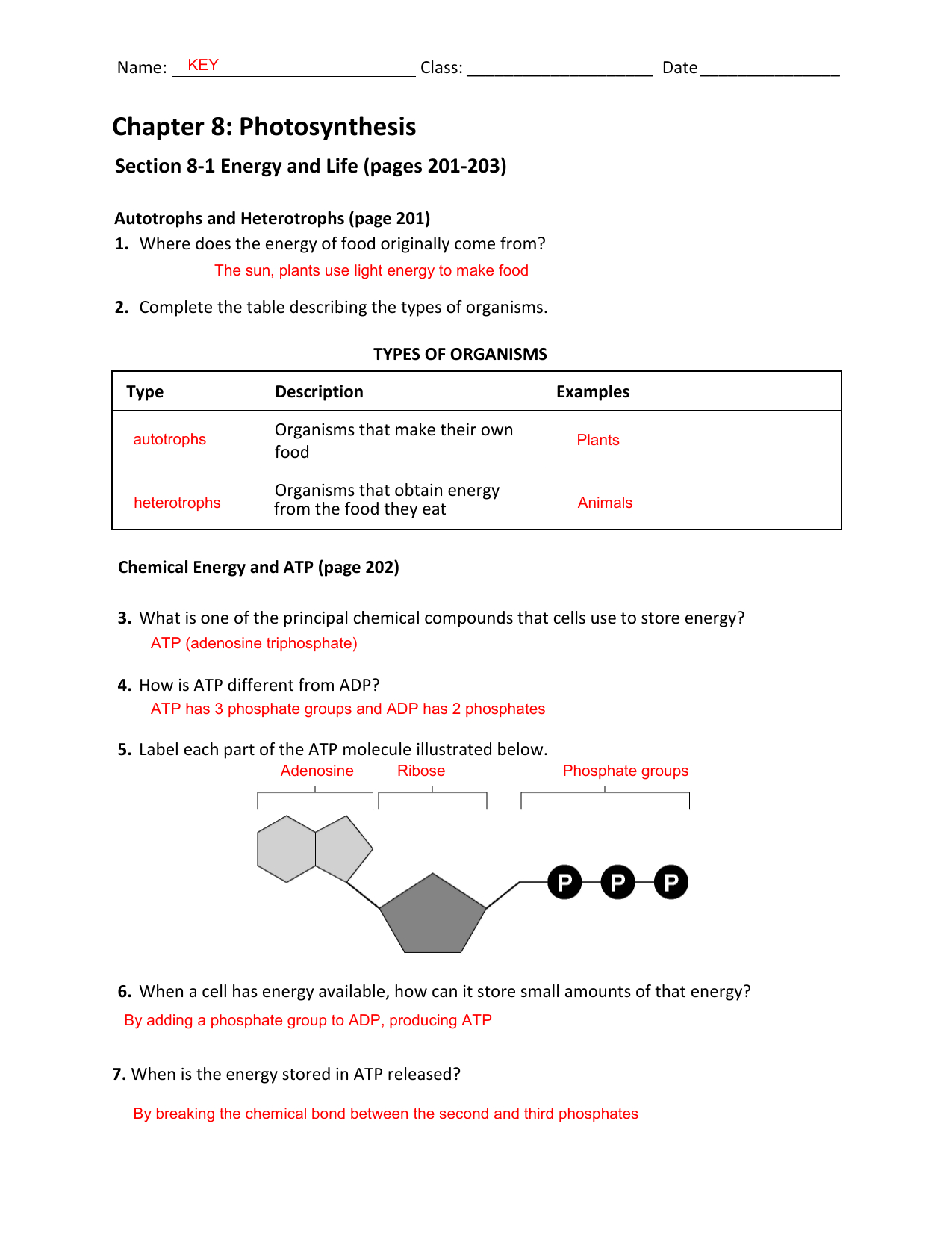 AP Biology Resources Google Docs