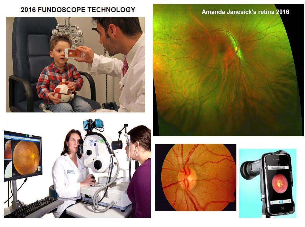 Janesick NonAstronomy Imagers