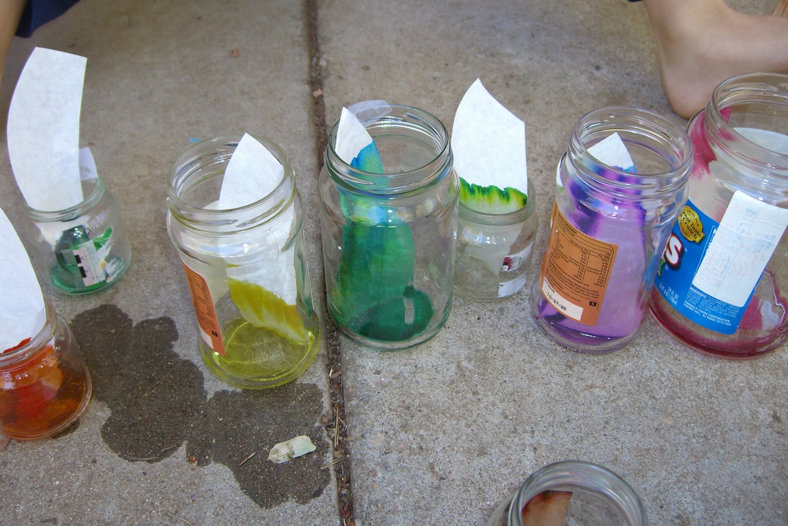 Dingoden Family Outback Yapper What colors are used in marker ink? (Day One, cont.)