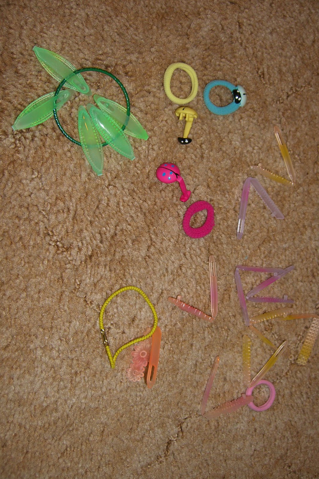 Dingoden Family Outback Yapper More Daily Activities